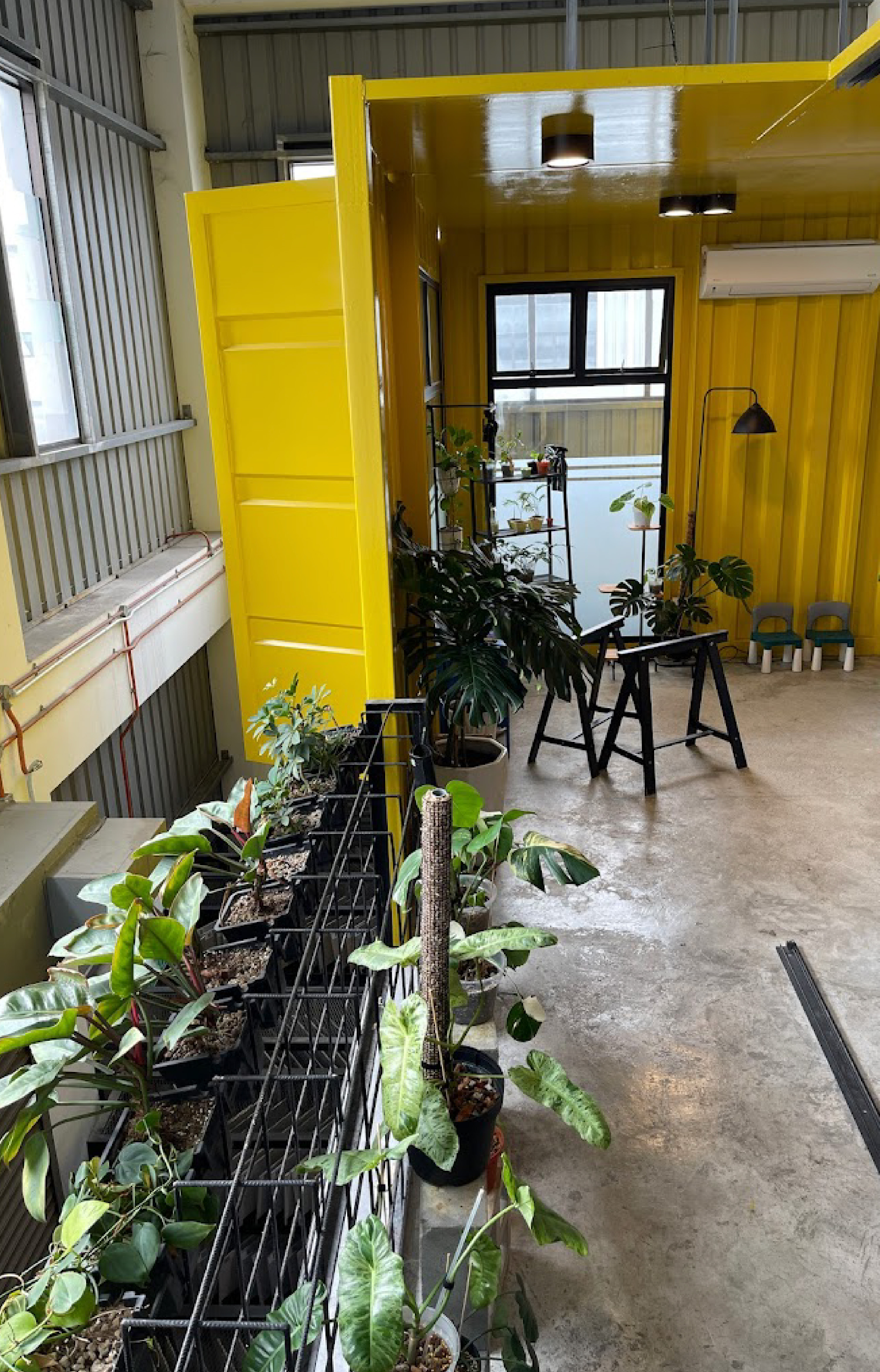 Homa Headquarters
